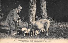 Périgord. Métiers Et Divers    24        Chercheur De Truffes Cochon..L'apprentissage       (voir Scan) - Sonstige & Ohne Zuordnung