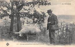 Périgord. Métiers Et Divers    24        Chercheur De Truffes Cochon..Groupe Sympathique       (voir Scan) - Sonstige & Ohne Zuordnung