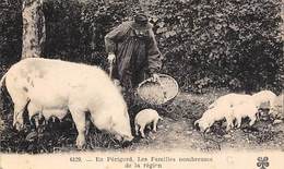 Périgord. Métiers Et Divers    24        Chercheur De Truffes Cochon..Famille Nombreuse     (voir Scan) - Andere & Zonder Classificatie