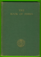 BOOKS - NATIONAL GEOGRAPHIC SOCIETY - THE BOOK OF FISHES, 1924 - 134 ILLUSTRATIONS - 244 PAGES - - Animali