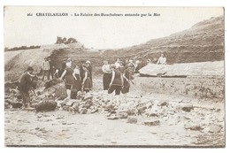 CHATELLAILLON (17) Tempete Falaise Des Boucholeurs Entamée Par La Mer Travaux Animation - Châtelaillon-Plage