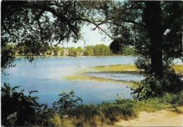 D08 - LE CHESNE - POINT DE VUE SUR LE LAC DE BAIRON - CPSM  Grand Format - Le Chesne