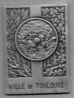 Médaille  - Ville De Toulouse - Journée De Sauvetage 1977 - Schwimmen