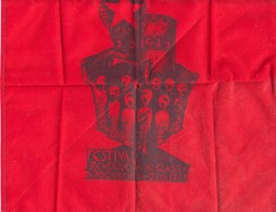 SLOVENIJA  AJDOVSCINA  ZASTAVICA   28 X 28  CM   1973 - Drapeaux