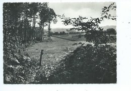 Flobecq - La Houppe - Panorama Vers Flobecq Vu Du Bois - Flobecq - Vlösberg