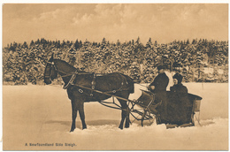 A  NEWFOUNDLAND  Side Sleigh - Ayre & Sons - Other & Unclassified