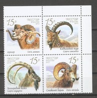 Russia 2013,Animals,Bighorn Rams,Block Of 4,Scott # 7422a-d,VF MNH** - Unused Stamps