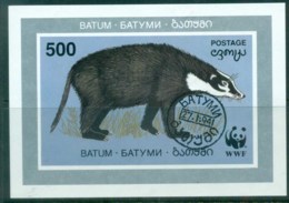 Batum 1994 WWF Badger MS CTO Lot76244 - Batum (1919-1920)