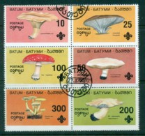 Batum 1994 Funghi, Mushrooms Blk6 CTO - Batum (1919-1920)