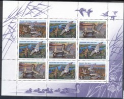 Russia 1992 Waterbirds, Ducks Sheetlet MUH - Sonstige & Ohne Zuordnung
