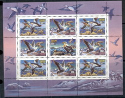 Russia 1993 Water Birds Ducks Sheetlet MUH - Autres & Non Classés