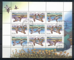 Russia 1995 Waterbirds, Ducks MS CTO - Other & Unclassified