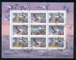 Russia 1993 Waterbirds, Ducks MS CTO - Autres & Non Classés