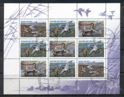 Russia 1992 Waterbirds, Ducks MS CTO - Other & Unclassified