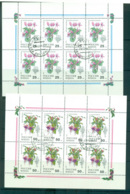 Russia 1993 Flowers 2x Sheetlets CTO Lot64446 - Sonstige & Ohne Zuordnung