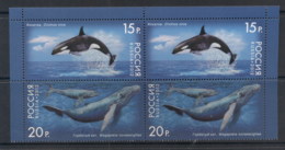 Russia 2010 Marine Life, Whales Blk4 MUH - Andere & Zonder Classificatie