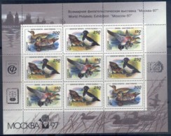 Russia 1994 Waterbirds, Ducks Sheetlet, Moscow '97 MUH - Other & Unclassified