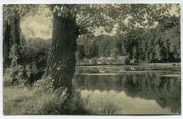 CPA - Carte Postale - Belgique - Le Rouge Cloître Et La Drève - Forêt De Soigne - 1919 ( DD7283) - Auderghem - Oudergem