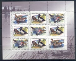 Russia 1994 Water Birds, Ducks Sheetlet MUH - Sonstige & Ohne Zuordnung