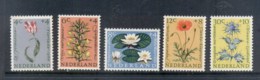 Netherlands 1960 Welfare, Flowers MLH - Unclassified