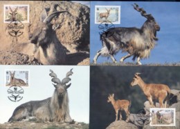 Uzbekistan 1995 WWF Markhor Maxicards - Other & Unclassified