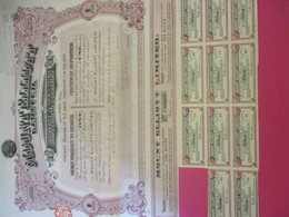 Certificat Au Porteur D'une Action De 1 Livre Sterling Entiérement Lbéréei/Mount Elliott Limited/AUSTRALIE/1913   ACT205 - Miniere