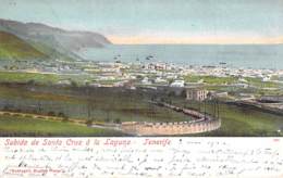 ESPANA Espagne - ISLAS CANARIAS : TENERIFE - Subida De SANTA CRUZ à La LAGUNA - CPA Colorisée 1906 - Spain - Tenerife