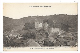 CHATELDON  (cpa 63)  Le Château   -  L  1 - Chateldon