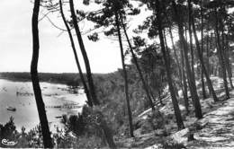 33 - CARCANS : Maubuisson - La Forêt Et L'Etang - CPSM Photo Dentelée Noir Blanc Format CPA 1956 - Gironde - Carcans