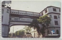 LSJP BRAZIL PHONECARD FLOWER SANENET MILL TELEMAR - Brasilien