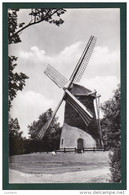 SCHOORL DE SCHOORISE MOLEN WINDMILL MILL - NETHERLANDS ( 2 SCANS ) - Schoorl