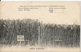 CPA - 69 - Vénissieux - Carte Publicitaire - Orge D'hiver - Ferme Des Usines Berliet - Nitrate De Soude - Vénissieux