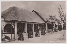 Alphen Ad Rijn - Avifauna Huis Vogelpark Avifauna - Alphen A/d Rijn