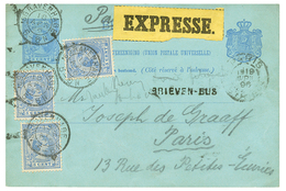 "EXPRESS" : 1896 P./Stat 5c + 5c(x3) Canc. SGRAVENHAGE + BRIEVEN-BUS + "EXPRESSE" Yellow Label To FRANCE. Vvf. - Andere & Zonder Classificatie