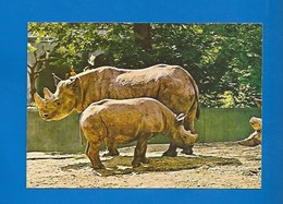 ANIMAUX - RHINOCÉROS - ADULTE ET PETIT - Rhinoceros