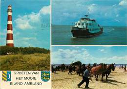 CPSM Groeten Van Het Mooie-Eiland Ameland                     L2776 - Ameland