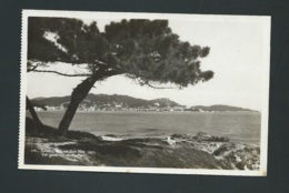 Sainte Maxime Sur Mer - Vue Générale Du Golfe     Gam18 - Sainte-Maxime