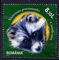 Roumanie - Rumänien - Romania 2011 Y&T N°5529 - Michel N°6545 (o) - 8,10l Chien Viverin - Oblitérés