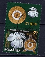 Roumanie - Rumänien - Romania 2013 Y&T N°5696 - Michel N°6719 (o) - 3,00l Compagnon Blanc - Used Stamps