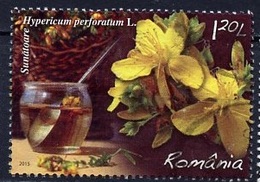 Roumanie - Rumänien - Romania 2015 Y&T N°5923 - Michel N°6973 (o) - 1,20l Millepertuis - Used Stamps