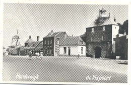 Harderwijk, De Vispoort  (met Molen)   (het Zichtbare Raster Is Veroorzaakt Door Het Scannen.) - Harderwijk