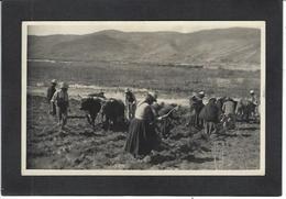 CPA Bolivie Bolivia  Non Circulé Carte Photo RPPC Métier - Bolivie