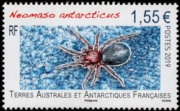 TAAF - 2019 - Spiders - Neomaso Antarcticus - Mint Stamp - Unused Stamps