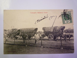 2019  (456)  SRI LANKA / CEYLAN  :  COLOMBO  -  BULLOCK CARTS   1913  X - Sri Lanka (Ceylon)