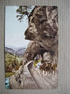 Delcampe - SCHWEIZERISCHE  GEBIRGSPOST             TTB - Risch-Rotkreuz