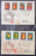 1950-1956 44 Db FDC 22 Kartonlapra Feldolgozva (MBK: Kb. 66.000) - Sonstige & Ohne Zuordnung