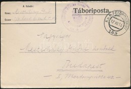 1916 Tábori Posta Levél / Field Post Cover 'M.KIR 307. HONVÉD GYALOG EZRED ZÁSZLÓALJ GAZDASÁGI HIVATALA' + 'FP 189' - Otros & Sin Clasificación