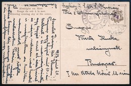 1917 Képeslap / Postcard 'SMS Huszár' + 'MFP Pola C' - Budapest - Other & Unclassified