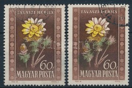 O 1950 Virág 60f 2 Db Bélyeg Eltolódott Színnyomatokkal - Altri & Non Classificati