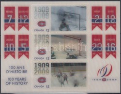 ** 2009 Száz éves Hockey Történelem 3 Dimenziós Blokk 116 - Autres & Non Classés
